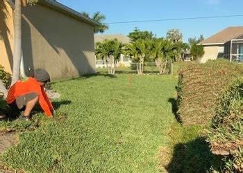 11 Best Tree Care Services in Cape Coral, FL .
